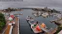./images/victoria/wharf/20260507/wharf20260507_091001M.jpg