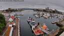 ./images/victoria/wharf/20260507/wharf20260507_093501M.jpg