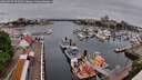 ./images/victoria/wharf/20260507/wharf20260507_094502M.jpg