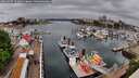./images/victoria/wharf/20260507/wharf20260507_103002M.jpg