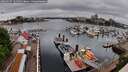 ./images/victoria/wharf/20260507/wharf20260507_104501M.jpg