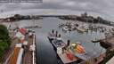 ./images/victoria/wharf/20260507/wharf20260507_105001M.jpg