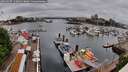./images/victoria/wharf/20260507/wharf20260507_110001M.jpg