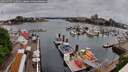./images/victoria/wharf/20260507/wharf20260507_110501M.jpg