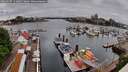 ./images/victoria/wharf/20260507/wharf20260507_111001M.jpg