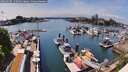 ./images/victoria/wharf/20260507/wharf20260507_145001M.jpg