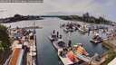 ./images/victoria/wharf/20260507/wharf20260507_155001M.jpg