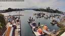 ./images/victoria/wharf/20260507/wharf20260507_160001M.jpg
