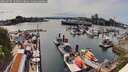./images/victoria/wharf/20260507/wharf20260507_160501M.jpg
