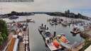 ./images/victoria/wharf/20260507/wharf20260507_170002M.jpg