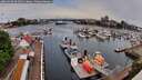./images/victoria/wharf/20260508/wharf20260508_094502M.jpg