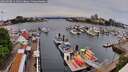 ./images/victoria/wharf/20260508/wharf20260508_111001M.jpg