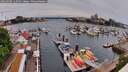 ./images/victoria/wharf/20260508/wharf20260508_115001M.jpg