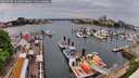 ./images/victoria/wharf/20260508/wharf20260508_131001M.jpg