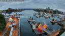 ./images/victoria/wharf/20260509/wharf20260509_053501M.jpg