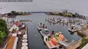 ./images/victoria/wharf/20260509/wharf20260509_121001M.jpg