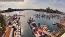 ./images/victoria/wharf/20260509/wharf20260509_171501M.jpg