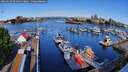 ./images/victoria/wharf/20260510/wharf20260510_091001M.jpg