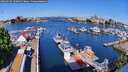 ./images/victoria/wharf/20260510/wharf20260510_100002M.jpg
