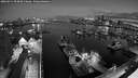./images/victoria/wharf/20260511/wharf20260511_050001M.jpg
