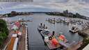 ./images/victoria/wharf/20260513/wharf20260513_060501M.jpg