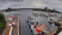 ./images/victoria/wharf/20260513/wharf20260513_080001M.jpg