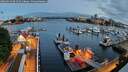 ./images/victoria/wharf/20260514/wharf20260514_051501M.jpg