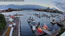 ./images/victoria/wharf/20260514/wharf20260514_054001M.jpg