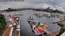 ./images/victoria/wharf/20260514/wharf20260514_152501M.jpg