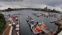 ./images/victoria/wharf/20260514/wharf20260514_154501M.jpg
