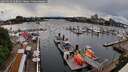 ./images/victoria/wharf/20260514/wharf20260514_160001M.jpg