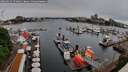 ./images/victoria/wharf/20260514/wharf20260514_174002M.jpg