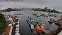 ./images/victoria/wharf/20260514/wharf20260514_174501M.jpg
