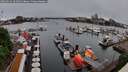 ./images/victoria/wharf/20260514/wharf20260514_181001M.jpg