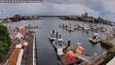 ./images/victoria/wharf/20260515/wharf20260515_063501M.jpg