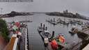 ./images/victoria/wharf/20260515/wharf20260515_080501M.jpg