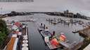 ./images/victoria/wharf/20260515/wharf20260515_124501M.jpg