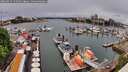 ./images/victoria/wharf/20260515/wharf20260515_125501M.jpg