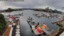 ./images/victoria/wharf/20260515/wharf20260515_145501M.jpg