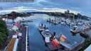 ./images/victoria/wharf/20260516/wharf20260516_055501M.jpg