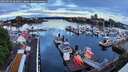 ./images/victoria/wharf/20260516/wharf20260516_061001M.jpg