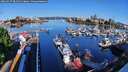 ./images/victoria/wharf/20260517/wharf20260517_081501M.jpg