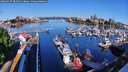 ./images/victoria/wharf/20260517/wharf20260517_082001M.jpg
