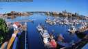 ./images/victoria/wharf/20260517/wharf20260517_082501M.jpg