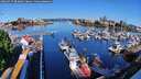 ./images/victoria/wharf/20260517/wharf20260517_083001M.jpg