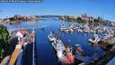 ./images/victoria/wharf/20260517/wharf20260517_083501M.jpg
