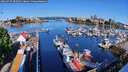 ./images/victoria/wharf/20260517/wharf20260517_085001M.jpg