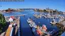 ./images/victoria/wharf/20260517/wharf20260517_091001M.jpg
