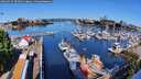 ./images/victoria/wharf/20260517/wharf20260517_092501M.jpg