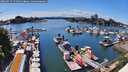 ./images/victoria/wharf/20260517/wharf20260517_152501M.jpg